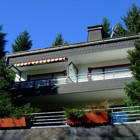 Ferienwohnung Napierski Willingen (Upland) Exterior foto